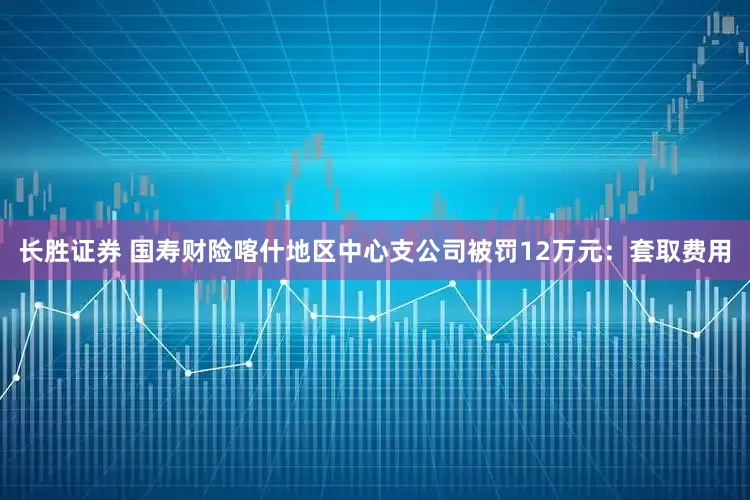 长胜证券 国寿财险喀什地区中心支公司被罚12万元：套取费用