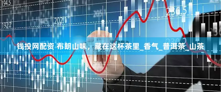 钱投网配资 布朗山味，藏在这杯茶里_香气_普洱茶_山茶