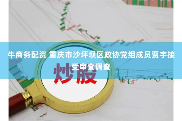 牛商务配资 重庆市沙坪坝区政协党组成员贾宇接受审查调查