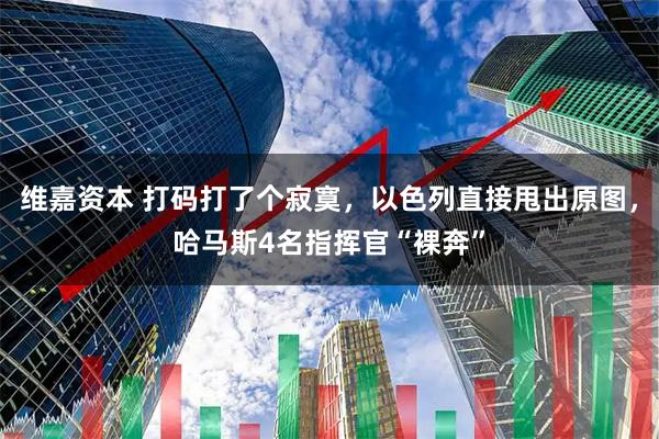 维嘉资本 打码打了个寂寞，以色列直接甩出原图，哈马斯4名指挥官“裸奔”
